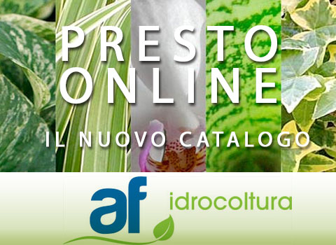 Il depliant